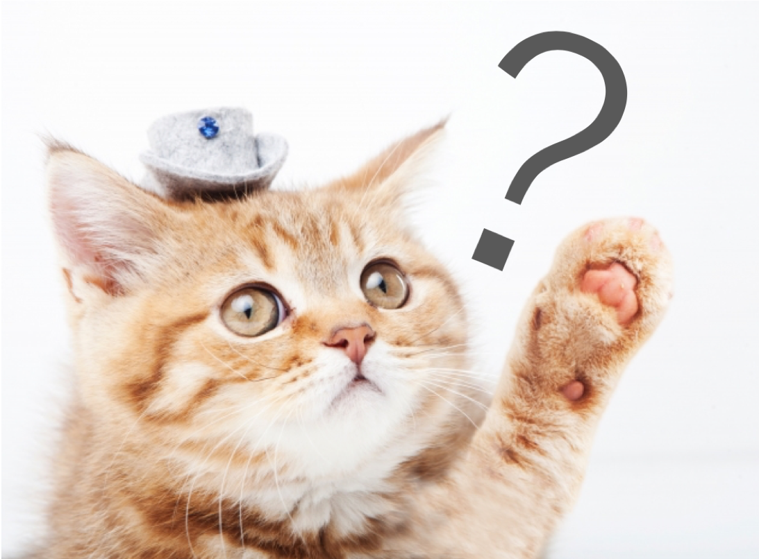 YG経験値システムってなんだ！？ヤマダゲーム独自サービスをご紹介！ | 週刊イチ押し！ゲーム特集