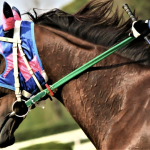 競馬の基本ルールと楽しみ方