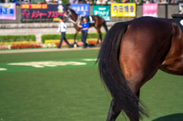 競馬場の楽しみ方ガイド（グルメ紹介）