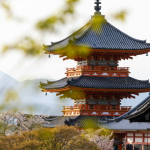 任天堂の原点！花札の歴史と魅力に迫る～遊び方＆コレクションガイド～