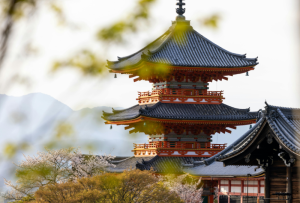 任天堂の原点！花札の歴史と魅力に迫る～遊び方＆コレクションガイド～